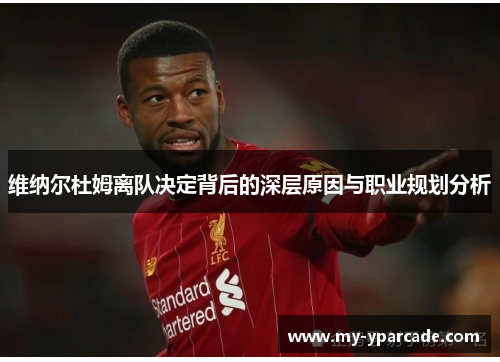 维纳尔杜姆离队决定背后的深层原因与职业规划分析