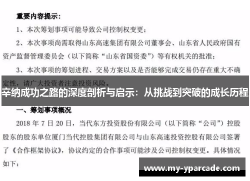 辛纳成功之路的深度剖析与启示：从挑战到突破的成长历程
